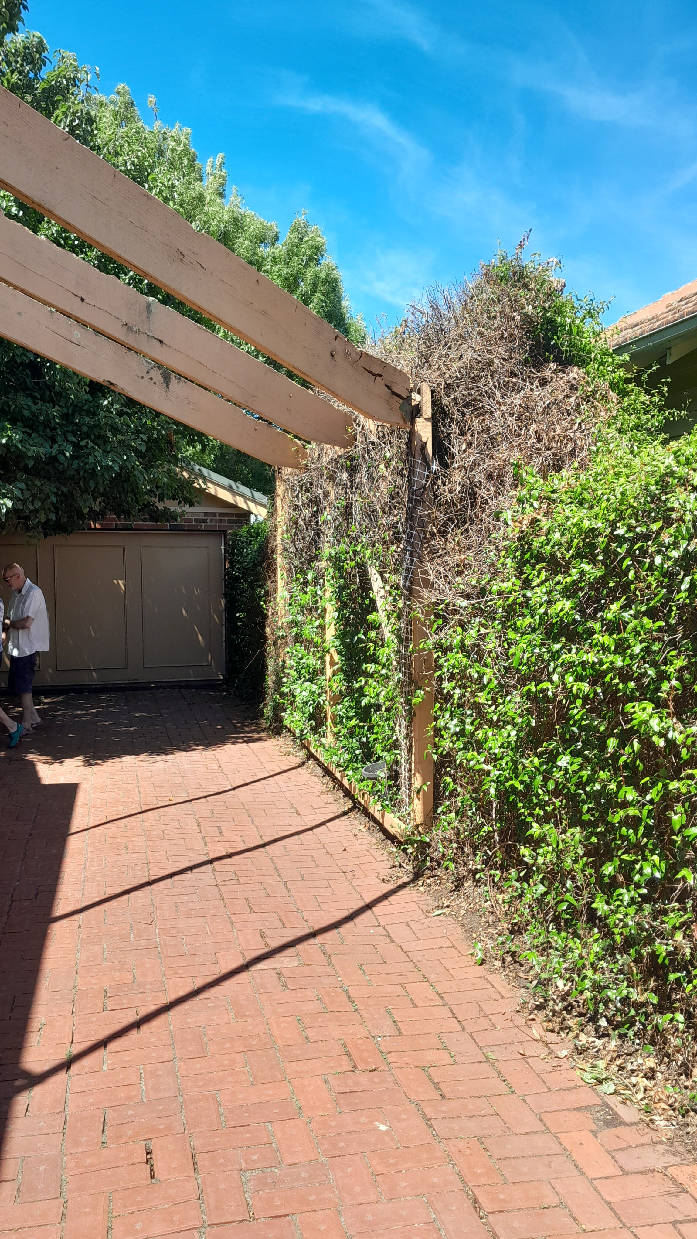 Camberwell pergola removal 1