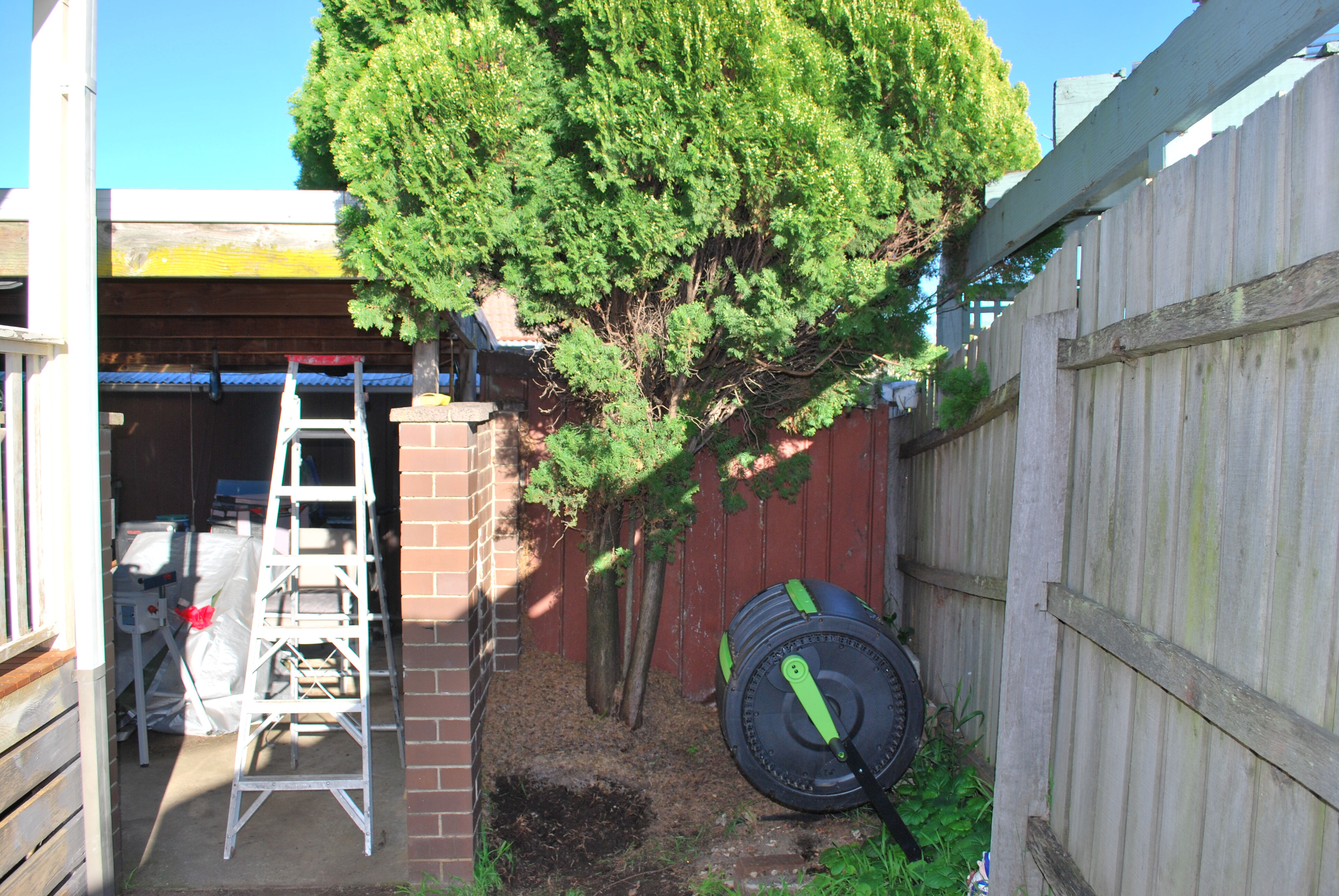 Tree removal Wheelers Hill 1