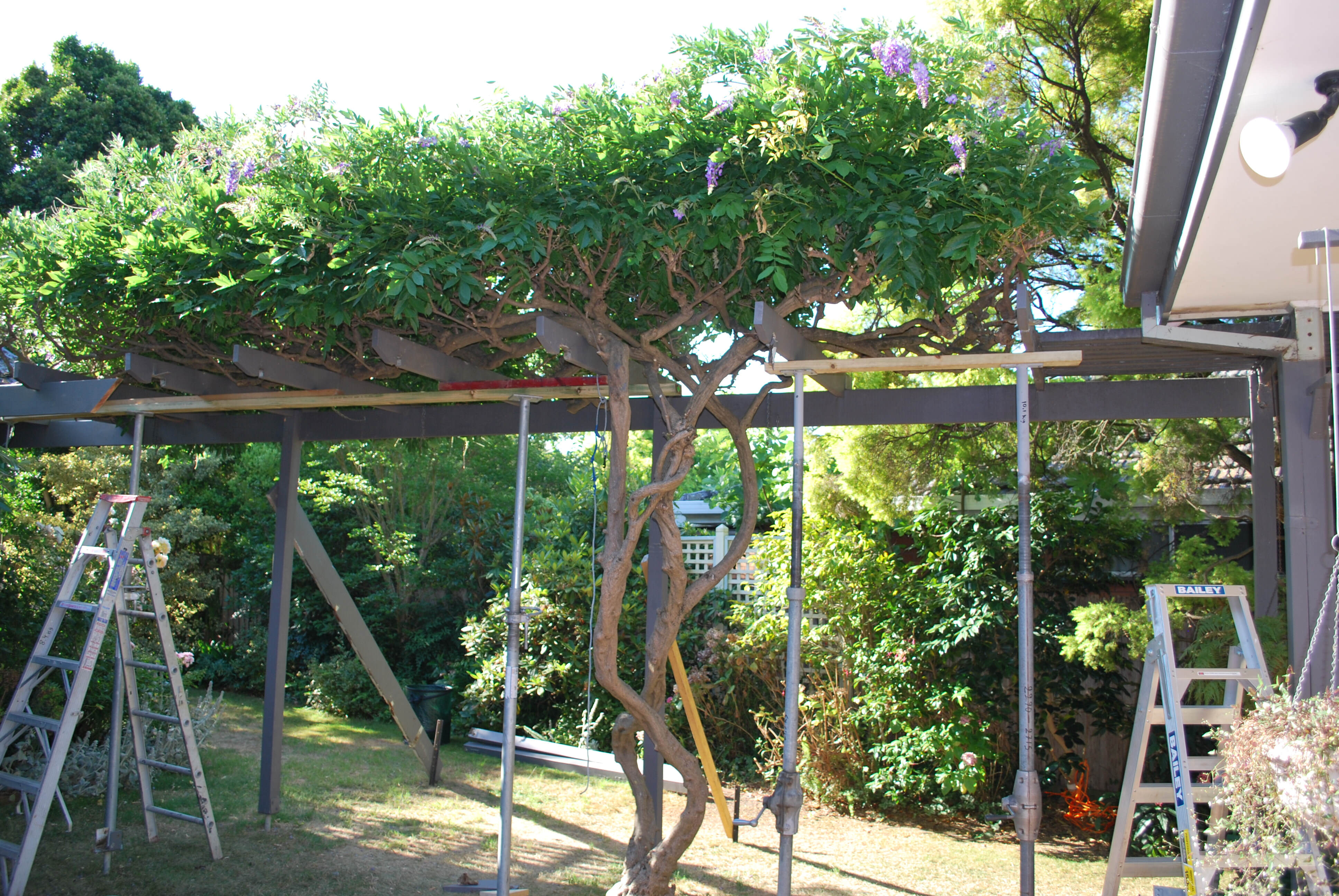 Pergola repairs Blackburn 3