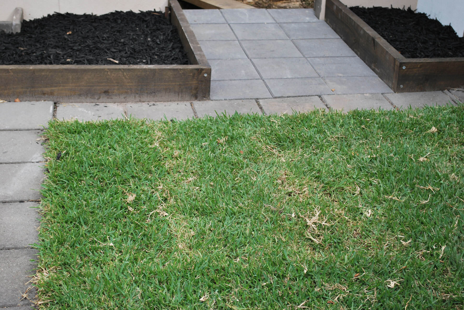 Landscaping by Pauls Home Maintenance and Repairs