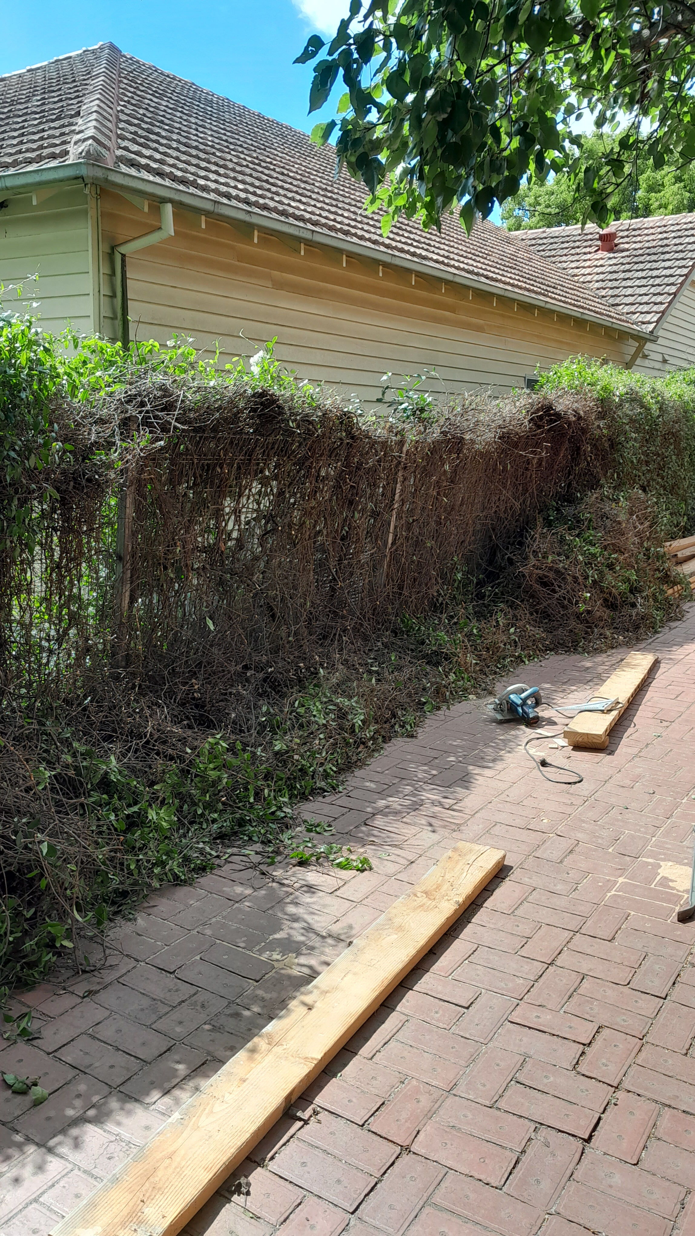 Camberwell pergola removal 3