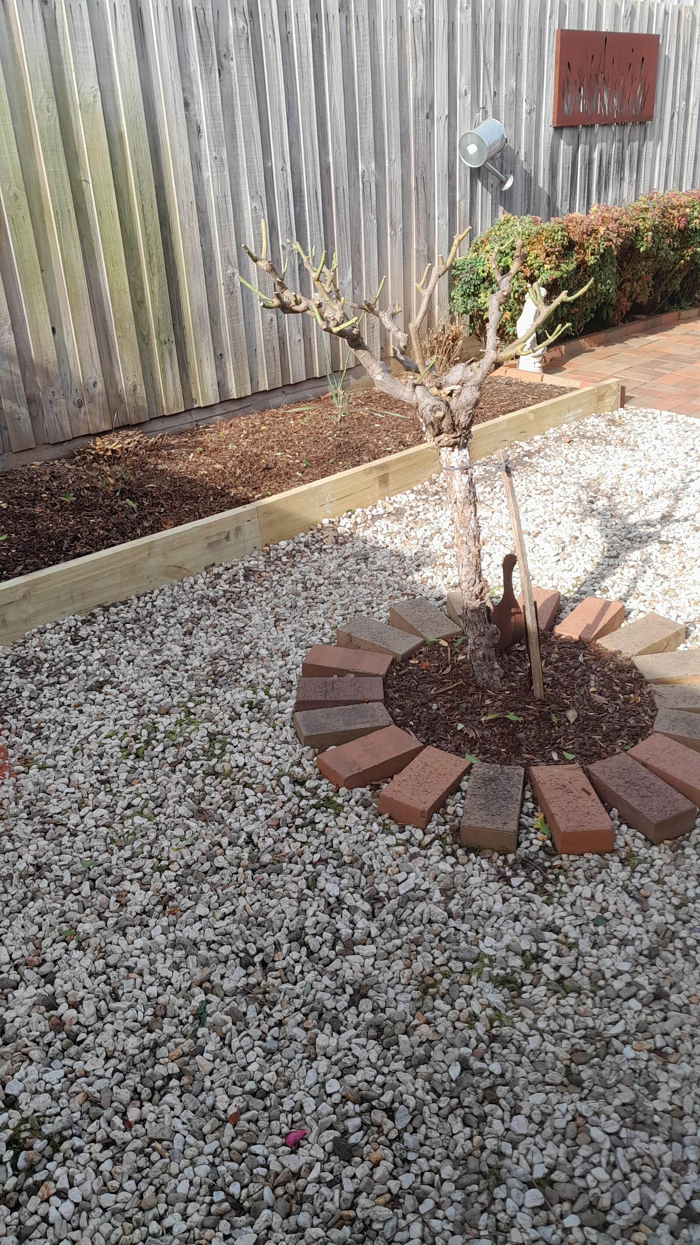 Garden edging replacement Narre Warren 5