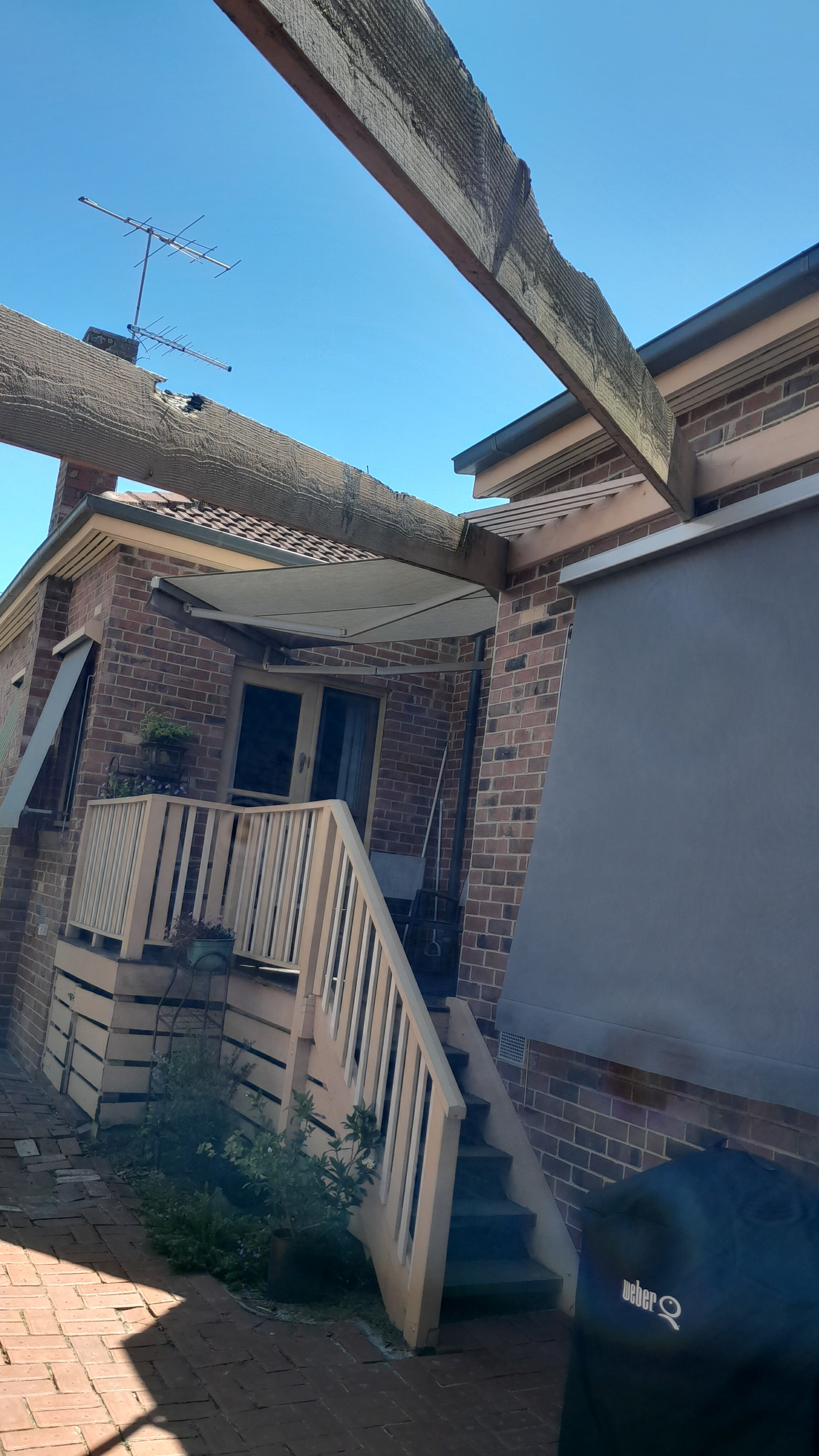 Camberwell pergola removal 2