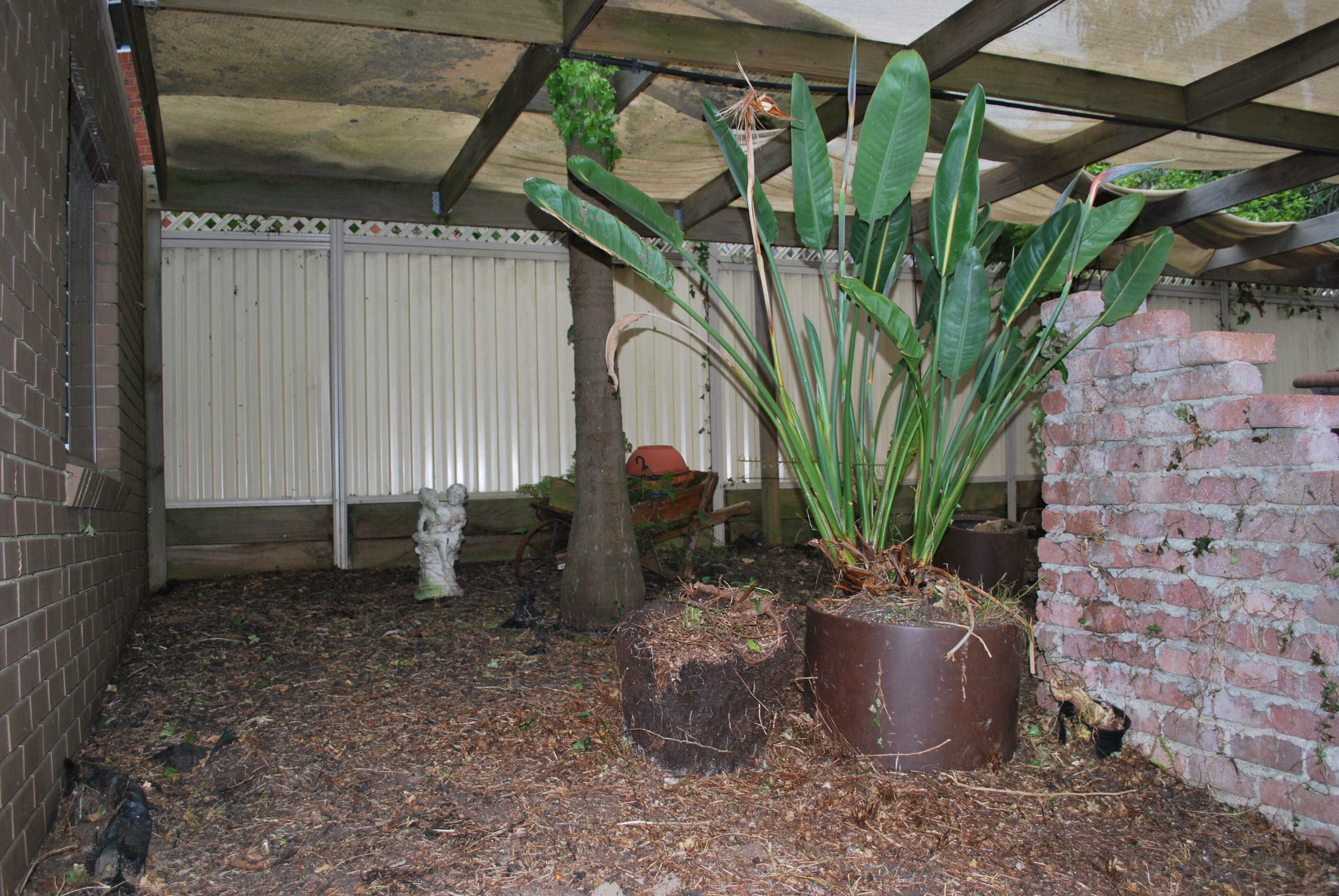 Major yardclean up Endeavour Hills 15