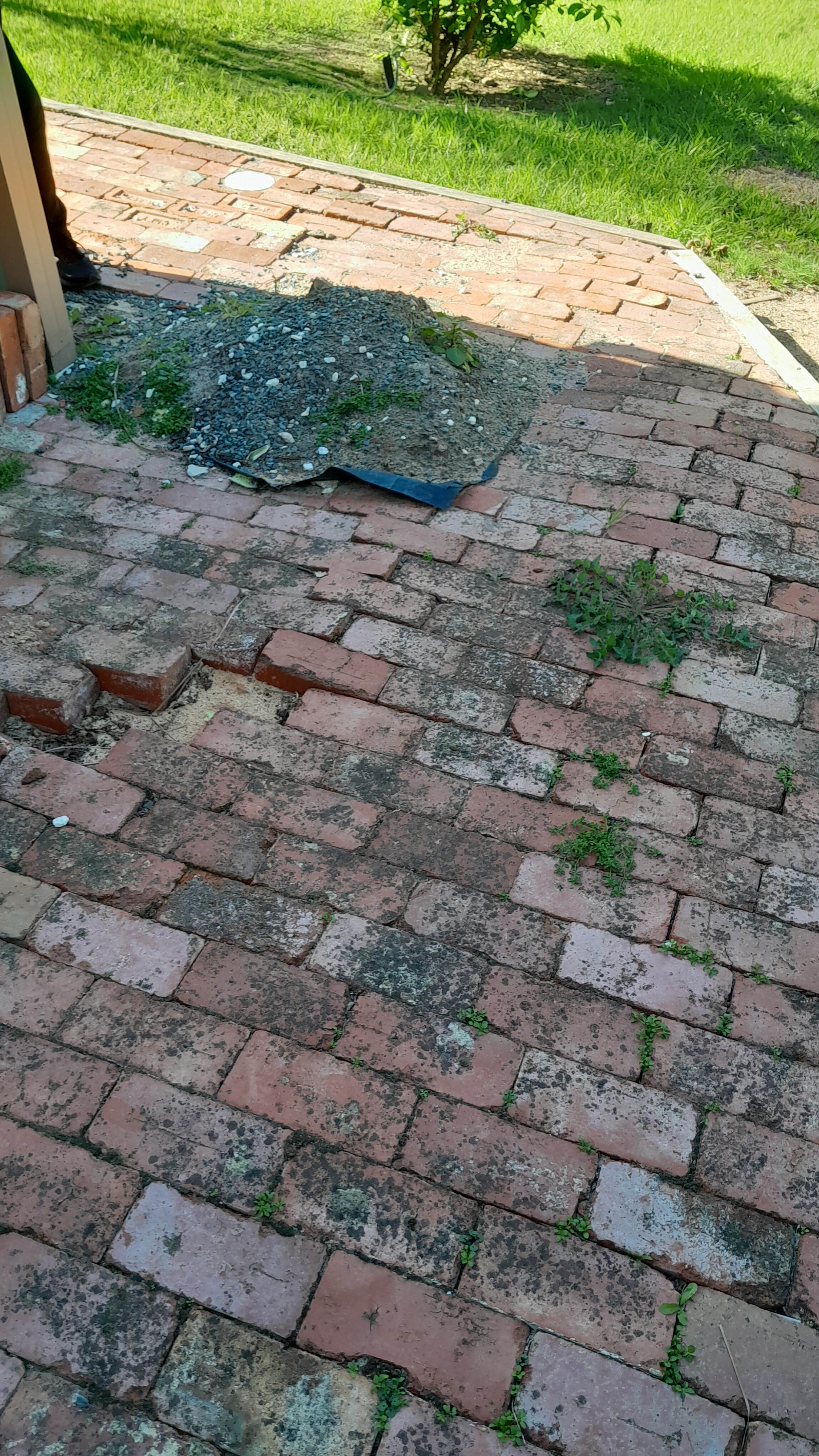 Endeavour Hills pavers relevel 1