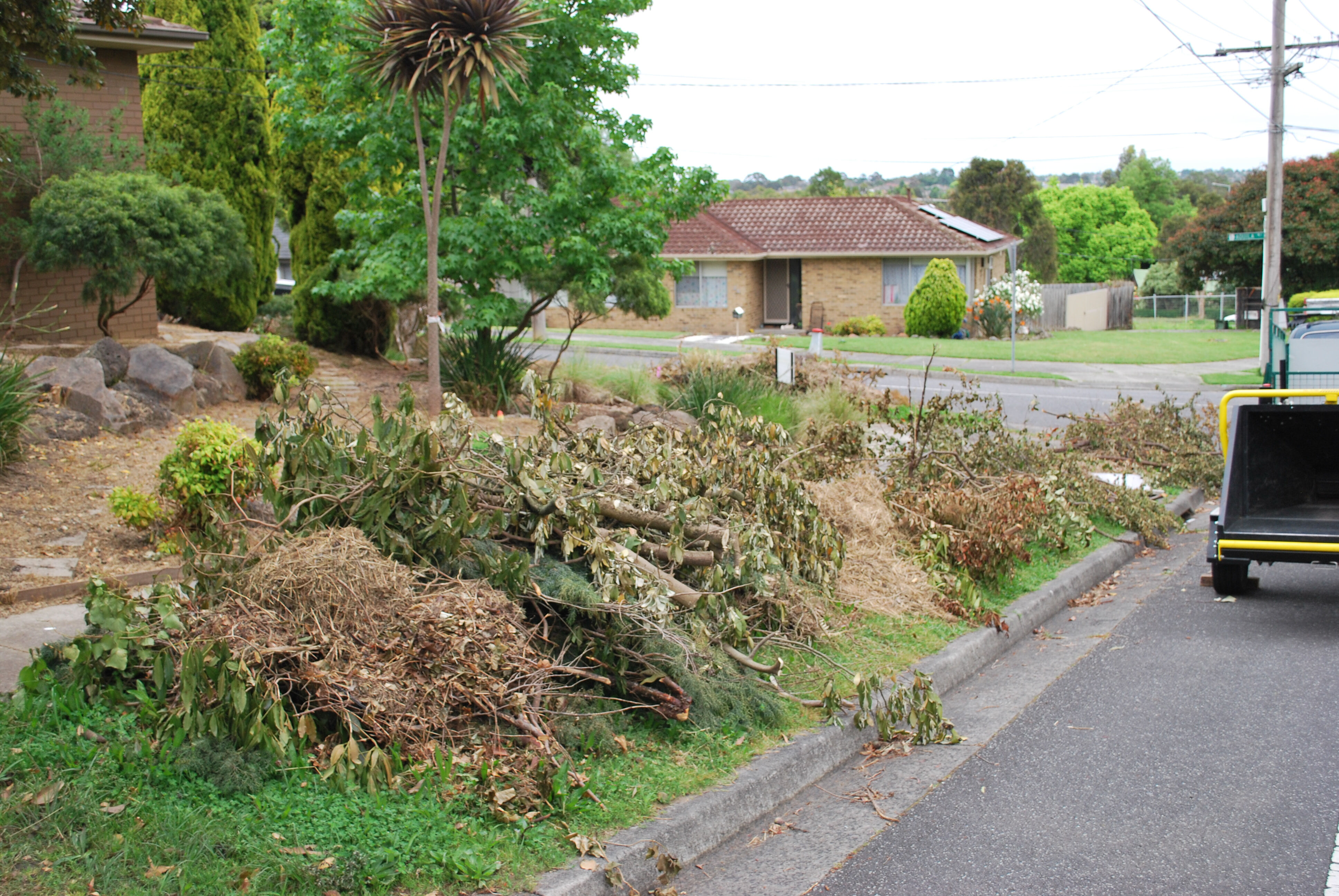 Tree mulching Endeavour Hills 2