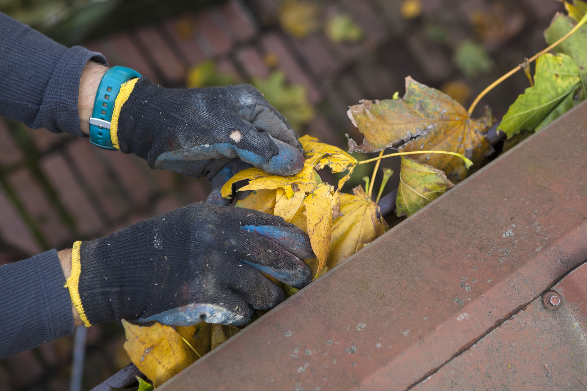 Gutter Cleaning