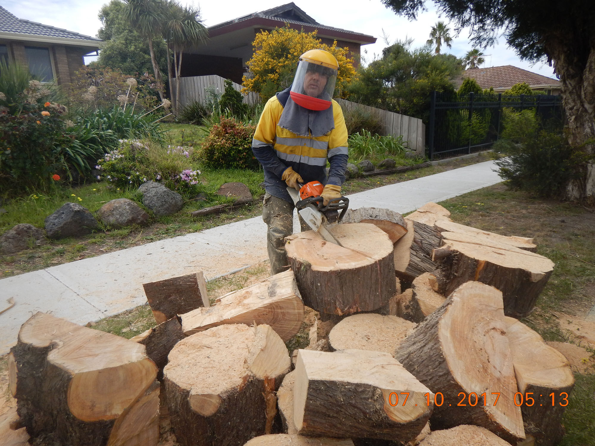 Tree Cutting 09